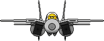 tomcat1.gif
