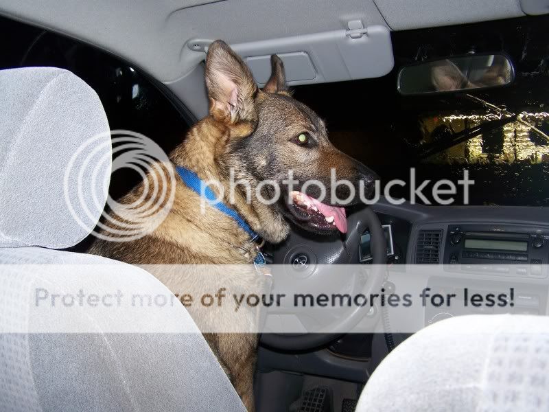 drive5.jpg