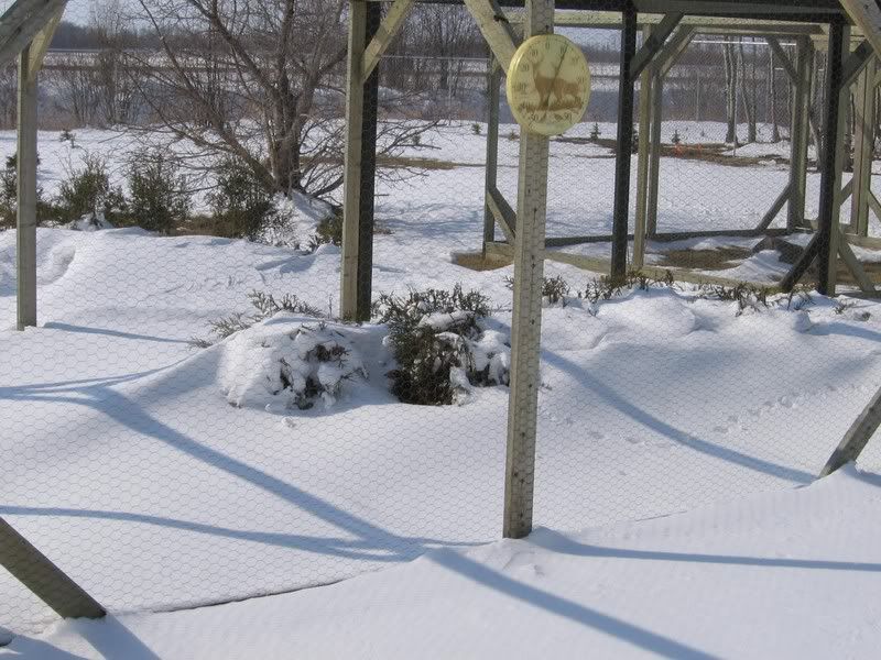 ReevesApril2308.jpg