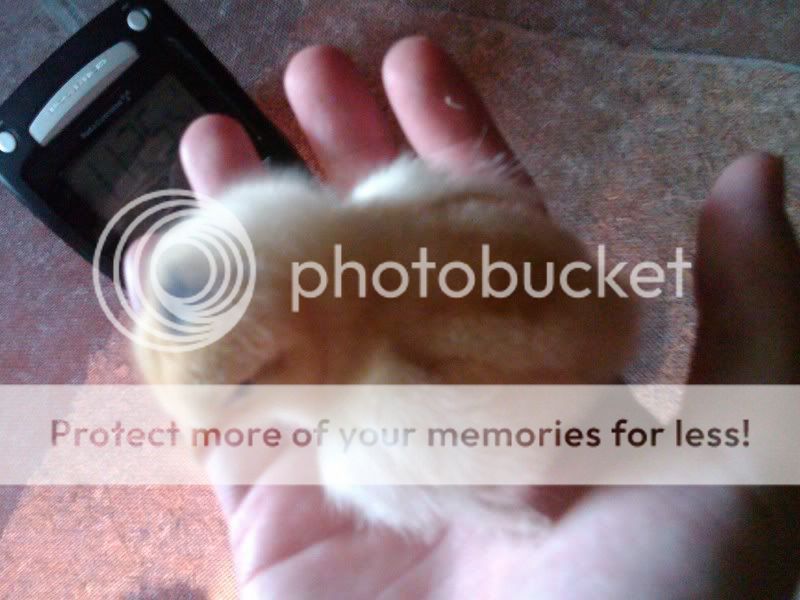 IMG00437-20110711-1125.jpg