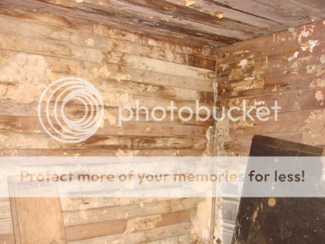 DSC02130.jpg