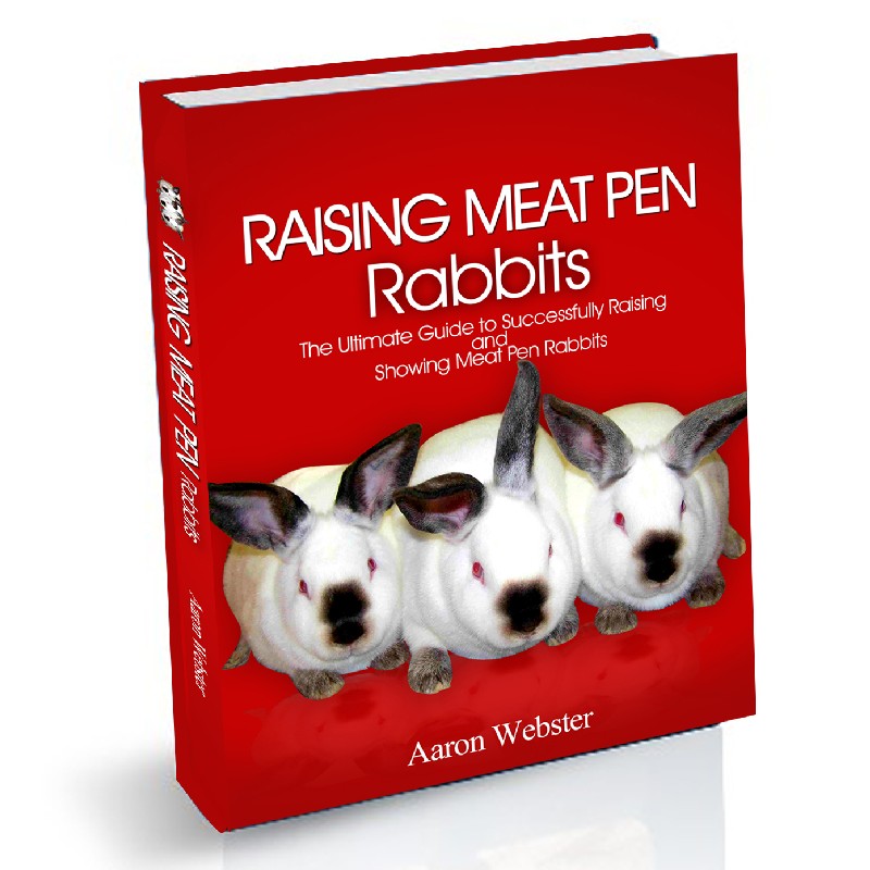 Raising-Meat-Pen-Rabbits-Guide.jpg