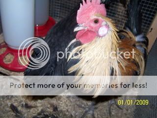 100_7304.jpg