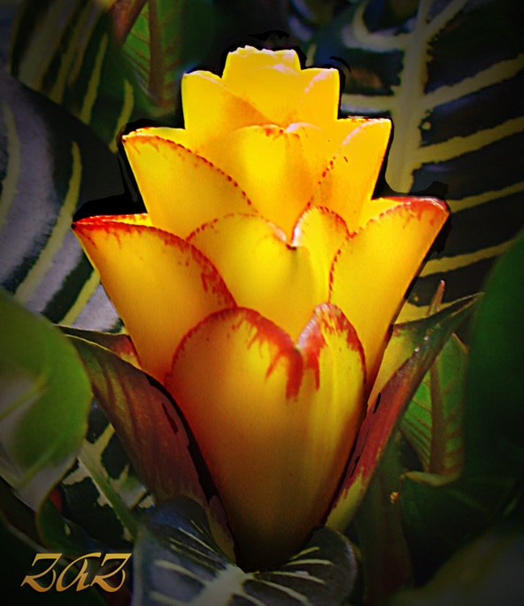 DSC000222-1.png