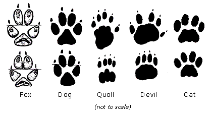 prints.gif