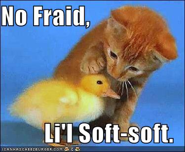 funny-pictures-kitten-comforts-chick.jpg