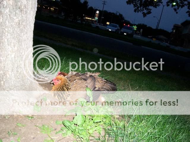 9-9-2007-054.jpg