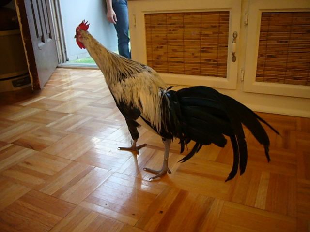 014.jpg