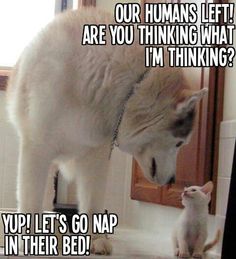 70c787f7d2fdde56c6df0f06a55ed5ef.jpg