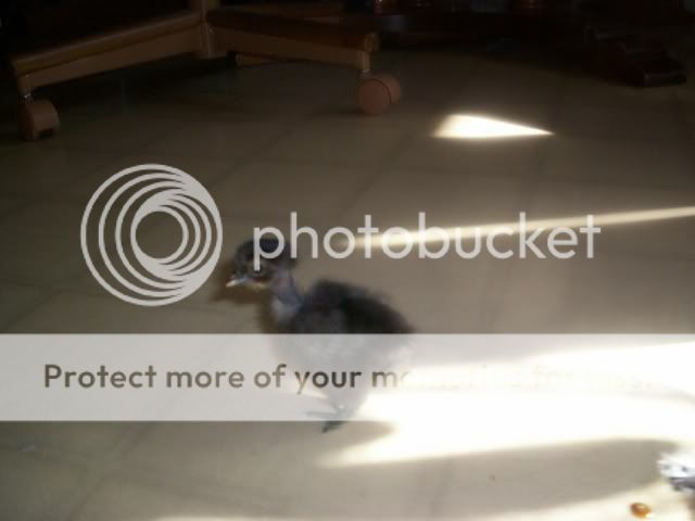 9-14-2007-070.jpg