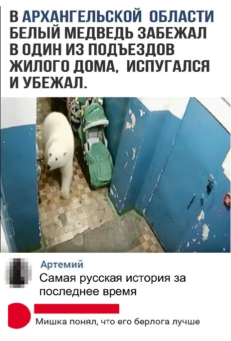 12685166.jpg