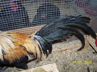 100_7306.jpg