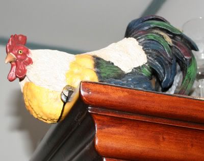chick9.jpg