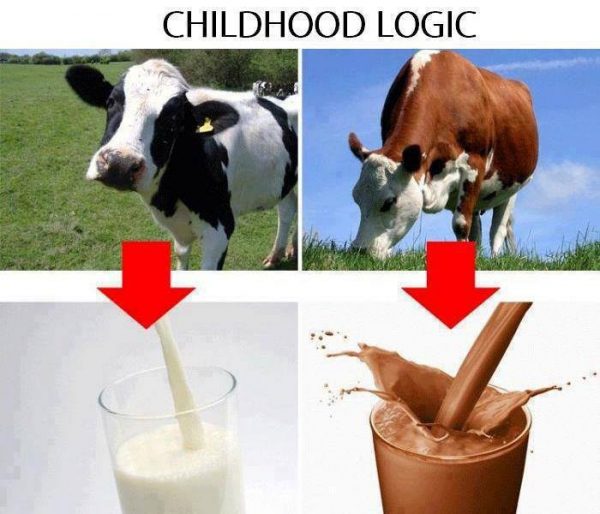 childhood-logic-chocolate-milk-cows-funny-lawlz-meme-600x514-jpg.36536