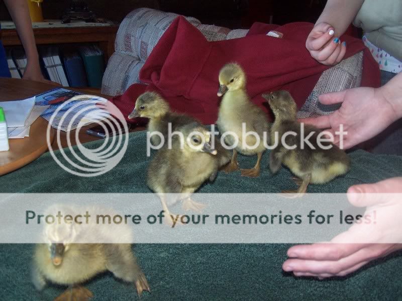 100_6167.jpg
