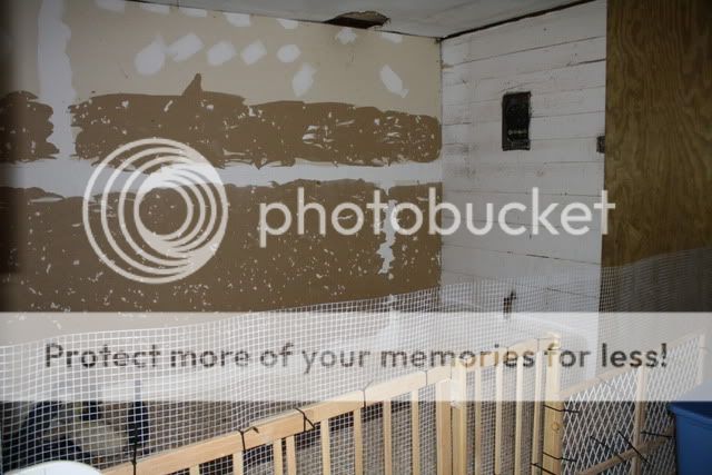 duckhouse003.jpg