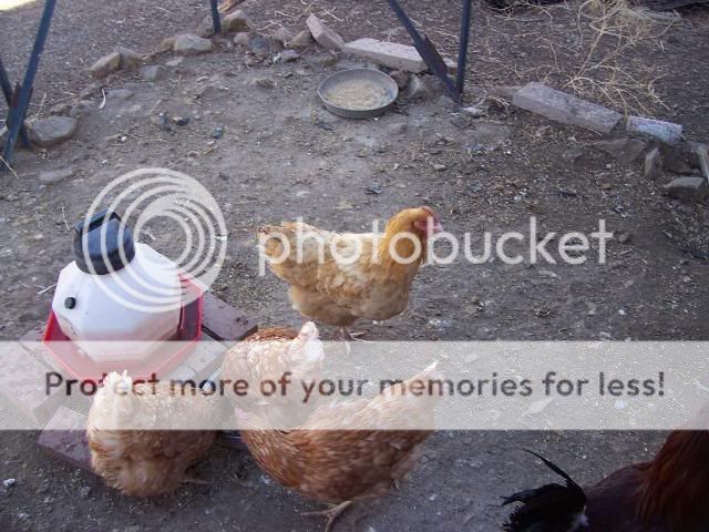 100_1902.jpg