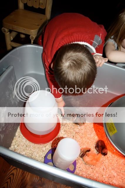 IMG_8691.jpg