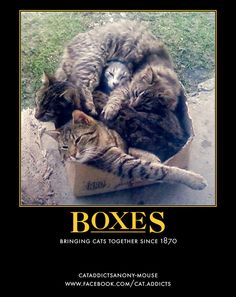 6ef29b0bacdeae939e2cbb32252bee74.jpg