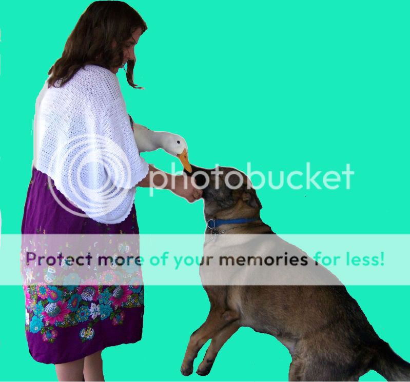 duckmom1aa.jpg