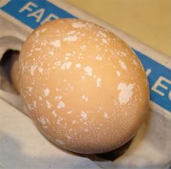 specklytanegg.jpg