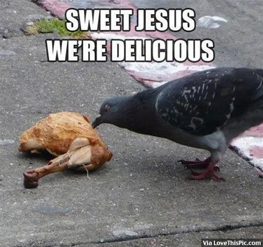 206973-Sweet-Jesus-We-re-Delicious.jpg