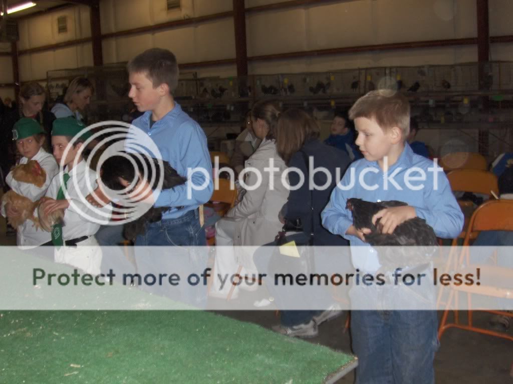 Copyofpoultryshow2010001.jpg