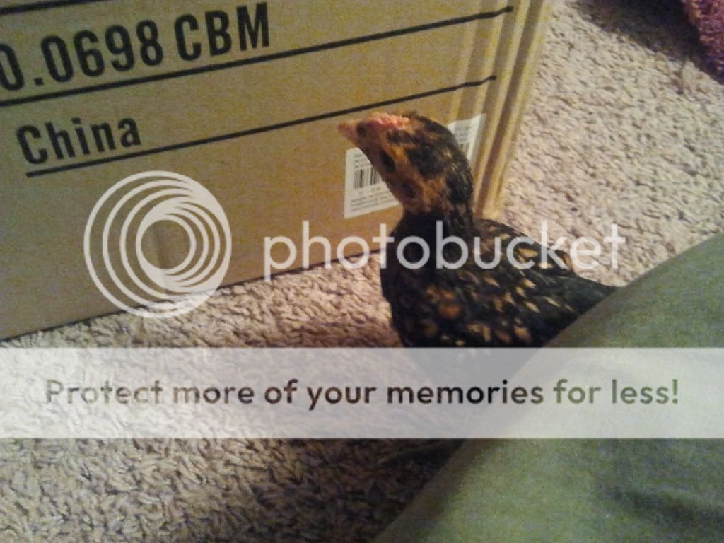 2011-05-23231032.jpg