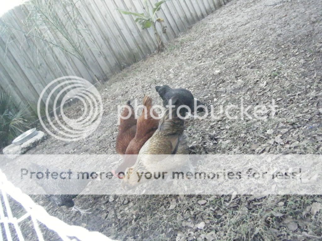 DSCF5380.jpg