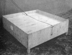 Image1.gif