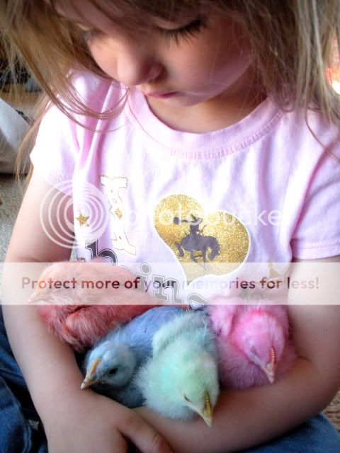 easterchicks014.jpg