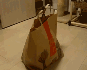 6ca4f644489a7220aade4ce8f94759da.gif