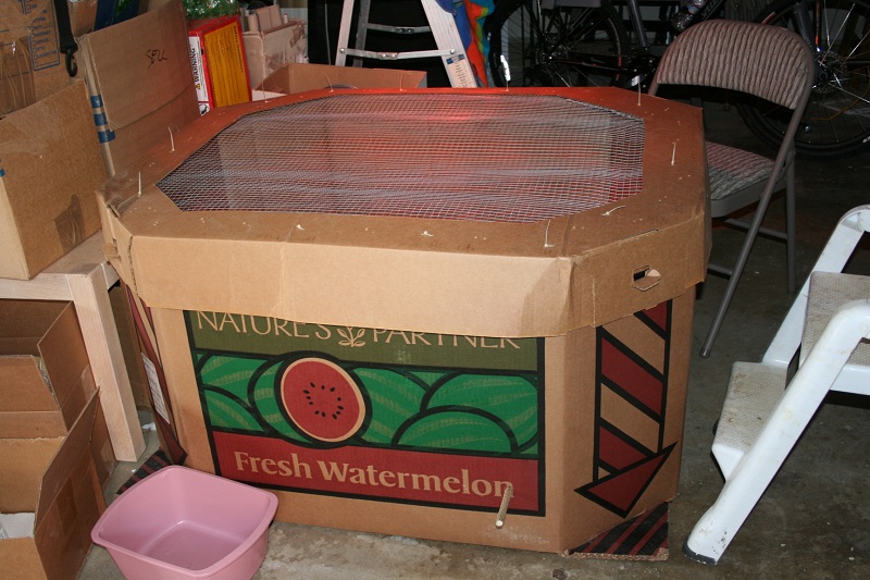chicken_brooder01.jpg