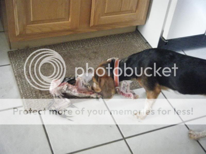 2010_08090003.jpg