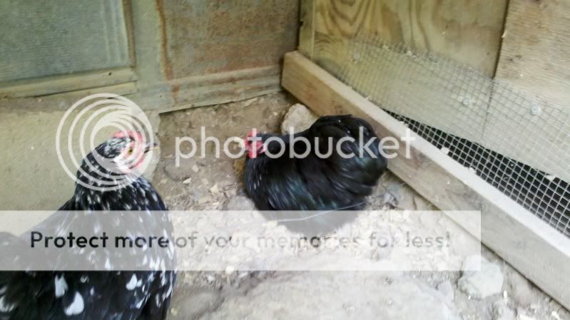 2011-09-18_15-44-43_426.jpg