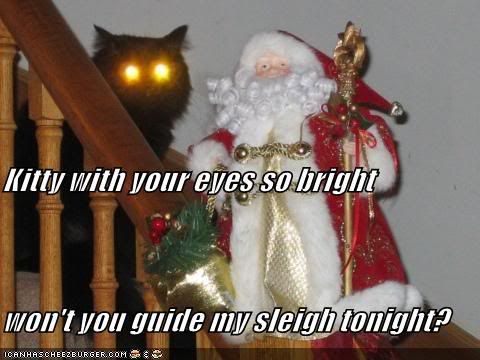 funny-pictures-laser-cat-christmas.jpg