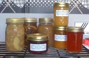 2010jellies.jpg
