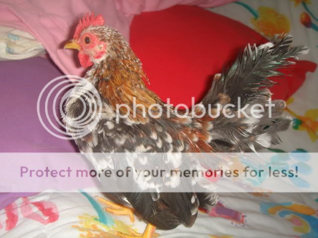 DSC01143.jpg