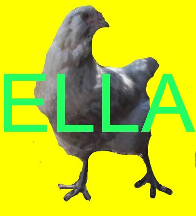 Edit.jpg