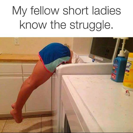funny-meme-wof-88.jpg
