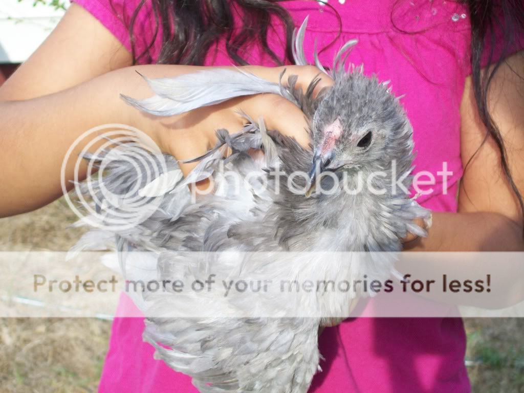 momchick001.jpg