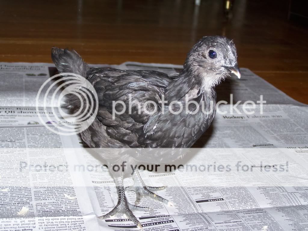 100_4263.jpg