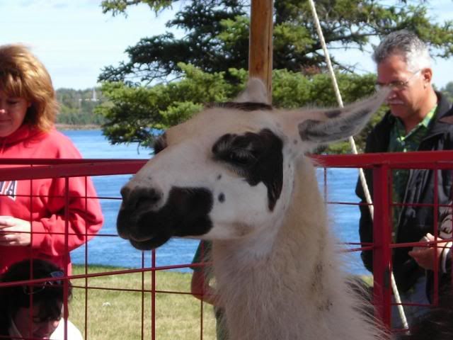 100_1560.jpg