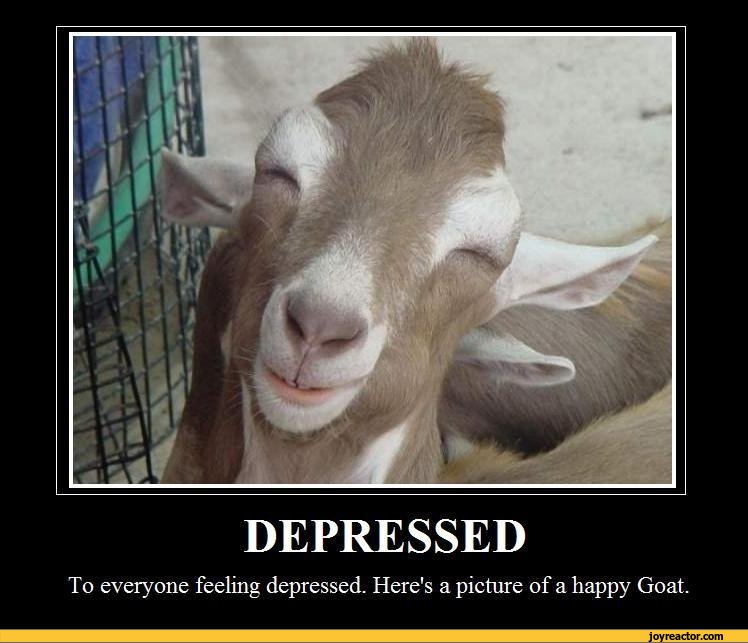 funny-pictures-auto-demotivation-goat-476651.jpeg