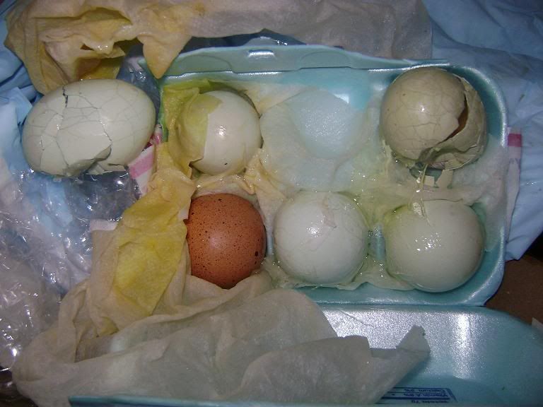 eggs004.jpg