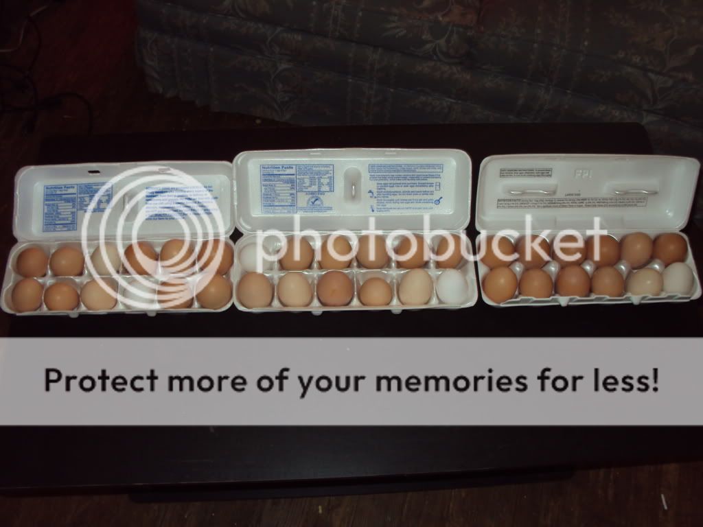 DSC00735.jpg