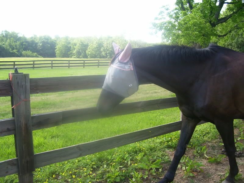BeautifulDay5-25-08022.jpg