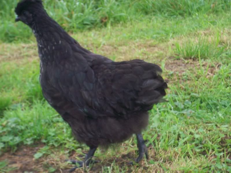 100_8253.jpg