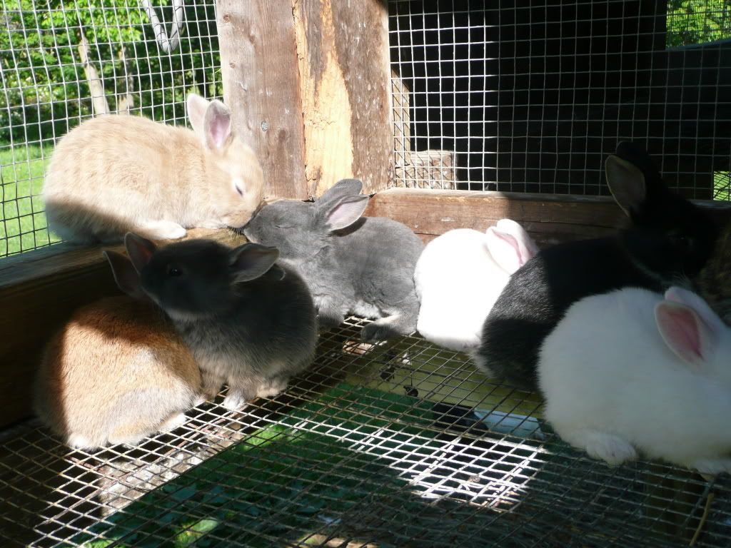 Picture014.jpg