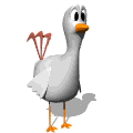 chicken_blink_md_wht.gif